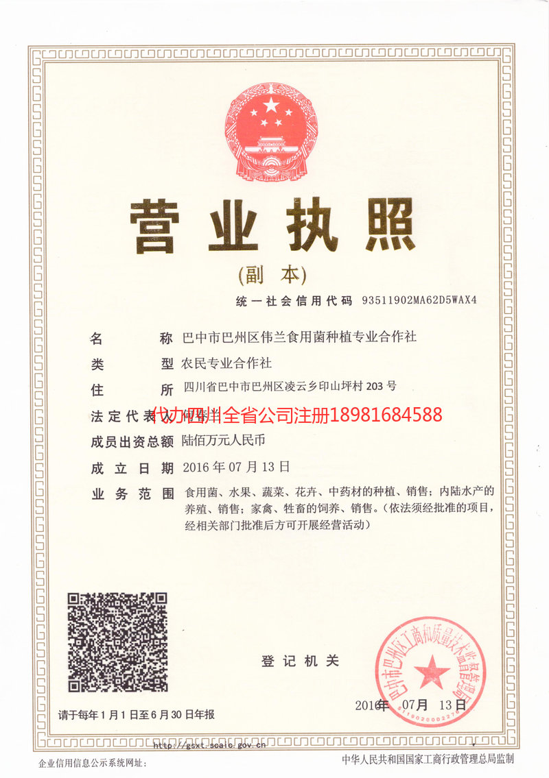 安陆安陆伟兰食用菌种植专业合作社